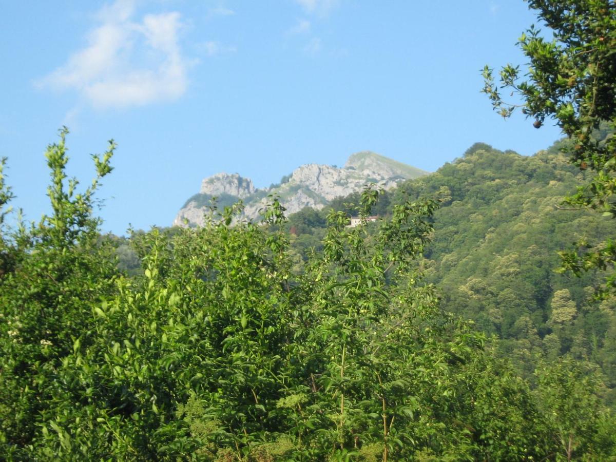 Casa Emilia Villa Stazzema Exterior foto